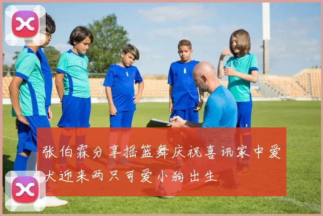 张伯霖分享摇篮舞庆祝喜讯家中爱犬迎来两只可爱小狗出生