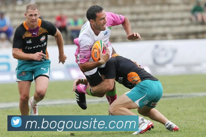 博狗娱乐APP 封面图